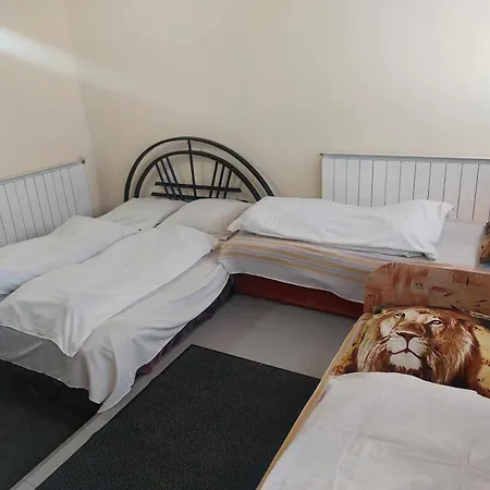 Rozsas Motel *